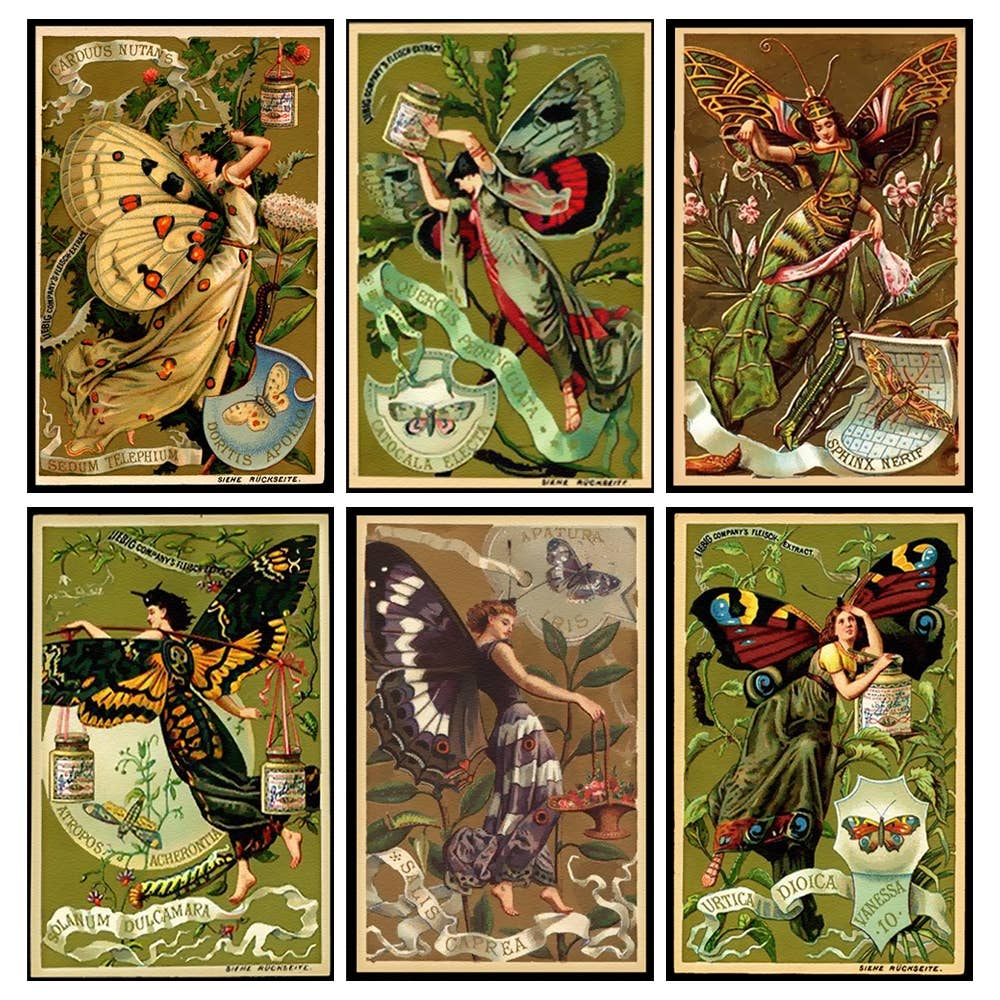 Farie Tincture Label Mini Matchboxes - ANN415
