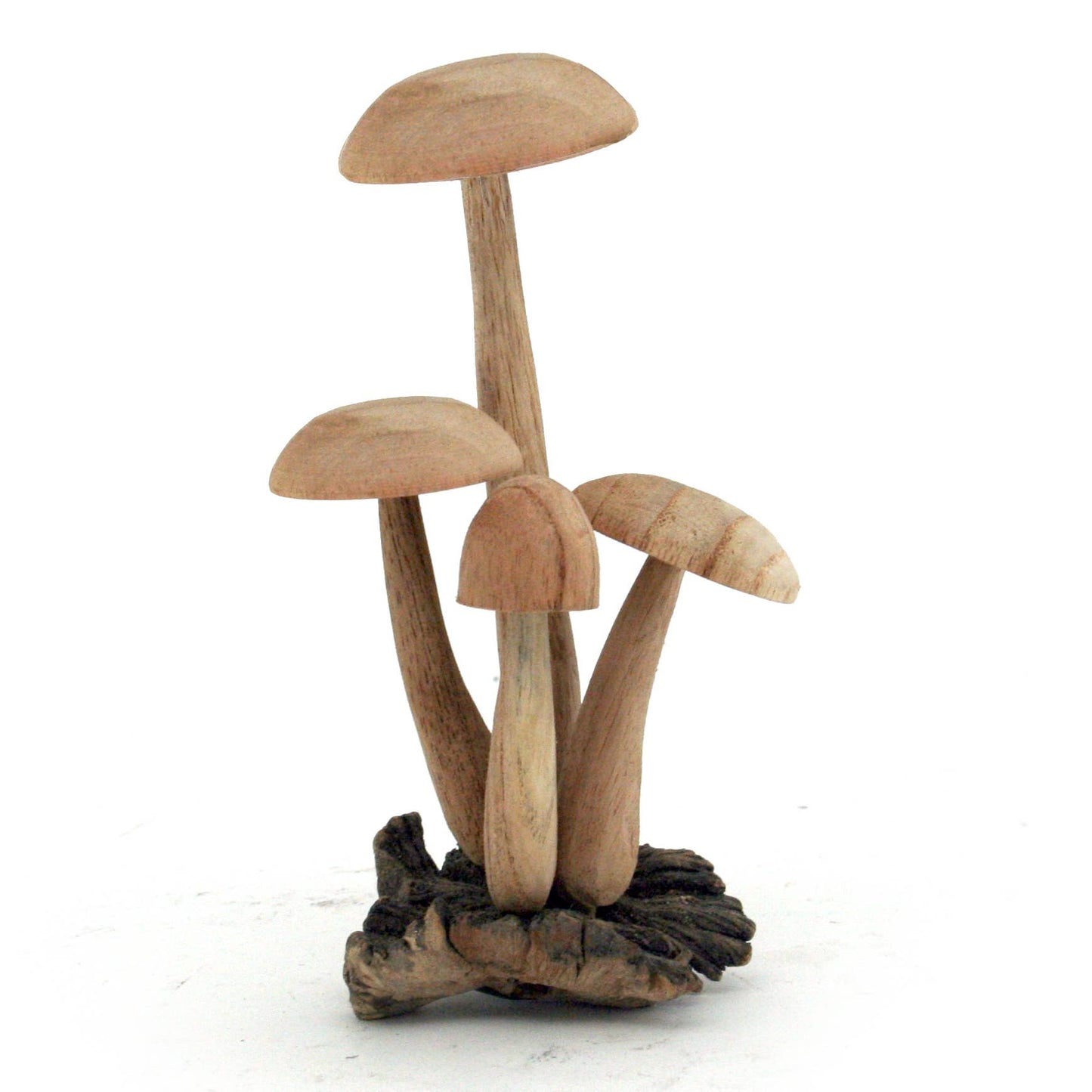 Four (4) Wood Mushroom Caps on Driftwood