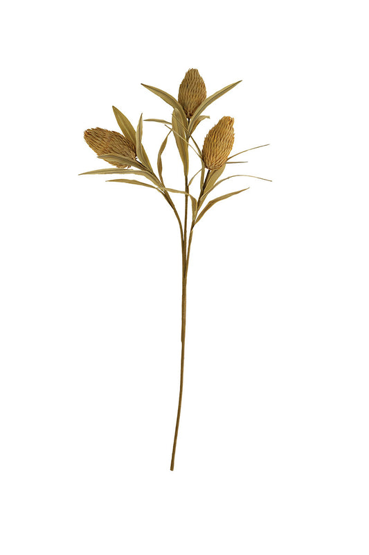 Botanica 2493