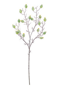 Botanica 3121