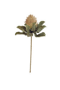 Botanica 3273