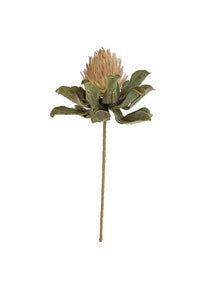 Botanica 3273