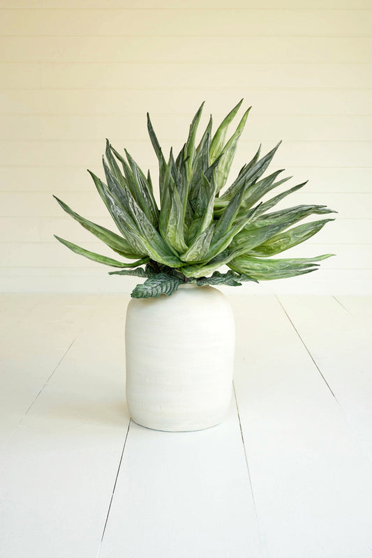 Botanica 3411