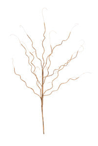 Botanica 773