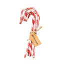 Sparkle Chenille Candy canes