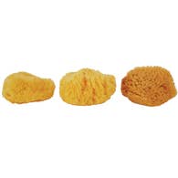 Bath Accessories
