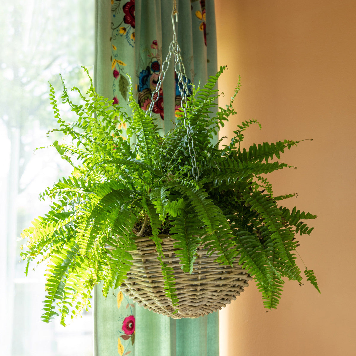 Rattan Hanging Planter