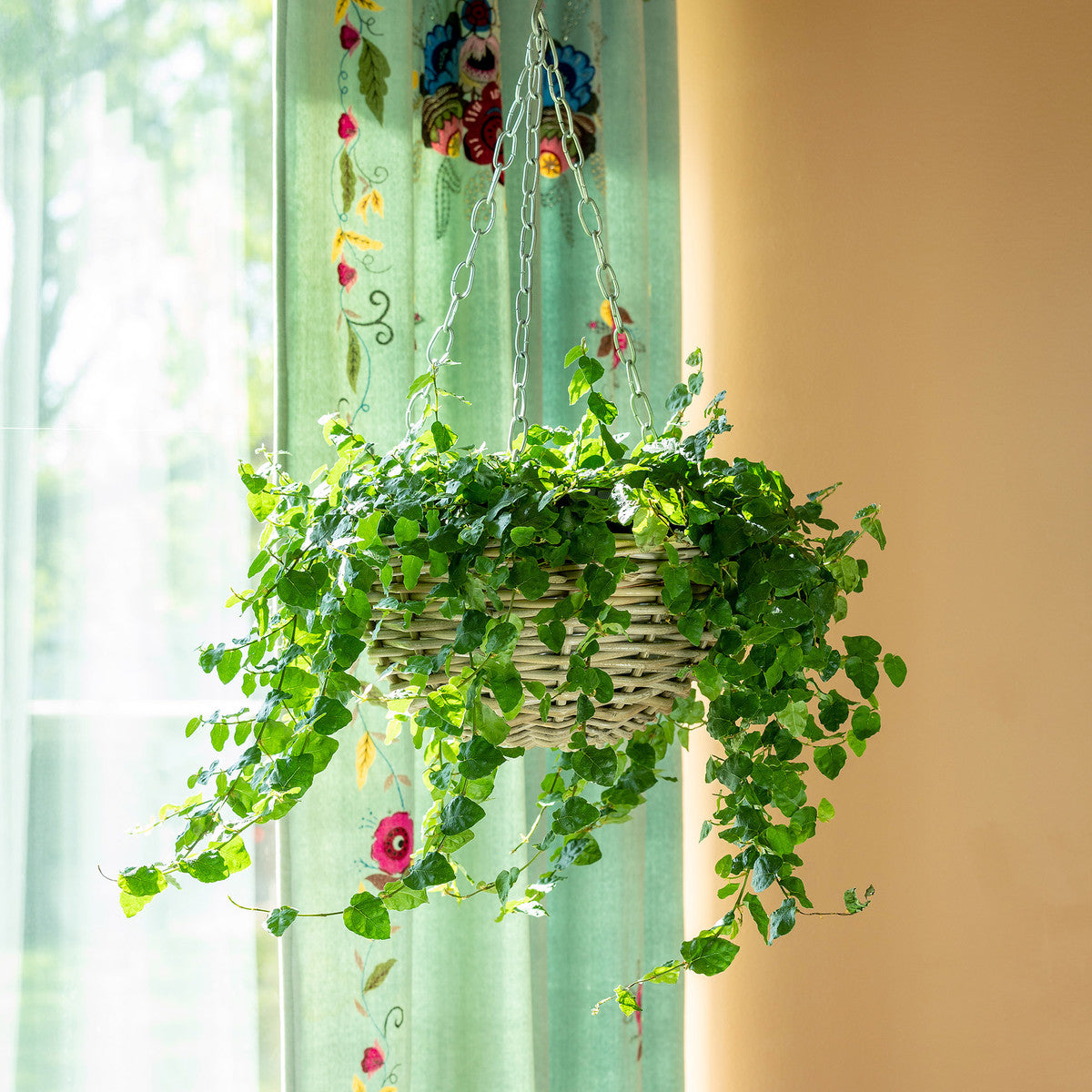 Rattan Hanging Planter