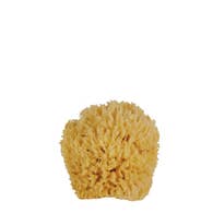 Bath Accessories