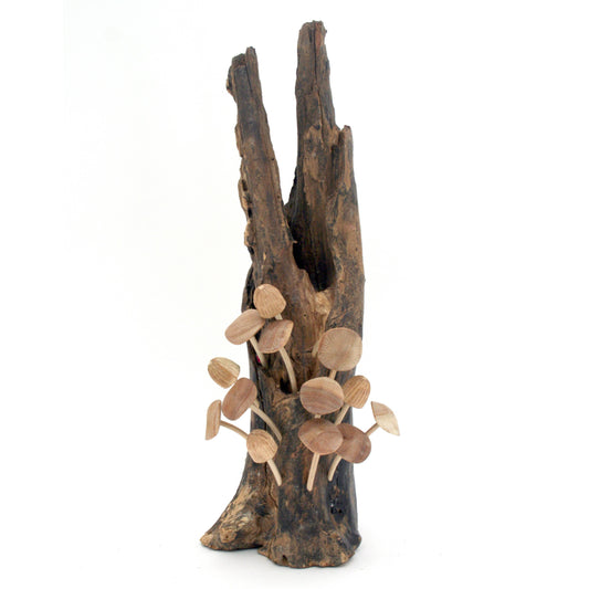 Sixteen (16) Wood Mushrooms on Driftwood