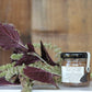 Pumpkin Spice Infused Raw Honey, Halloween, Thanksgiving: 1.75oz