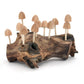 Twelve (12) Wood Bud Mushrooms Driftwood