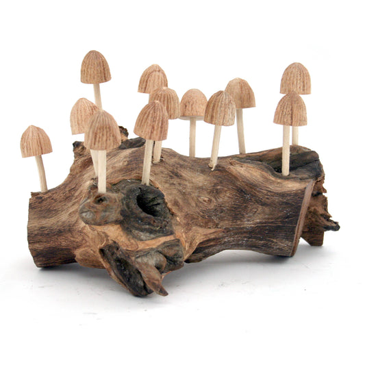 Twelve (12) Wood Bud Mushrooms Driftwood
