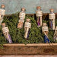 Birthstone Crystal Wishing Bottles - Assorted by month