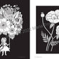 Maria Trolle’s Universe Coloring Book
