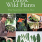 Edible Wild Plants: Wild Foods from Dirt to Plate
