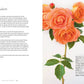 Vintage Roses: Beautiful Varieties for Home & Garden
