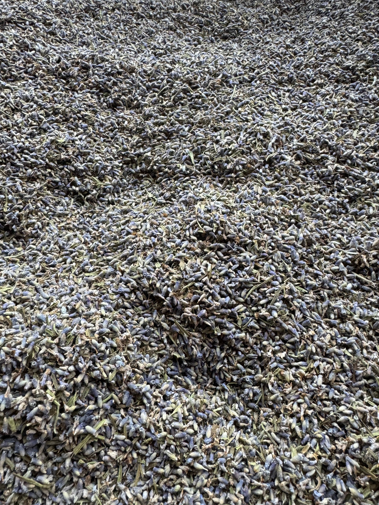 Field Run Lavender Buds (Filled Sm Bag)