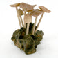 (6) Flat Mushrooms with Two Buds on Driftwood