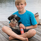 Natural Bug Repellent Spray For Dogs: 8 oz