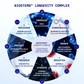 Cellular Infusion Cream - NAD+ Biomimetic Peptides