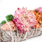 4" Sherbet Color Sage Smudge Stick