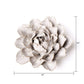 White Ceramic Flowers For Tabletop Or Wall Hanging: Ivory Ranunculus