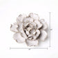 White Ceramic Flowers For Tabletop Or Wall Hanging: Ivory Ranunculus