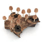 Twelve (12) Wood Bud Mushrooms Driftwood
