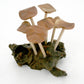 (6) Flat Mushrooms with Two Buds on Driftwood