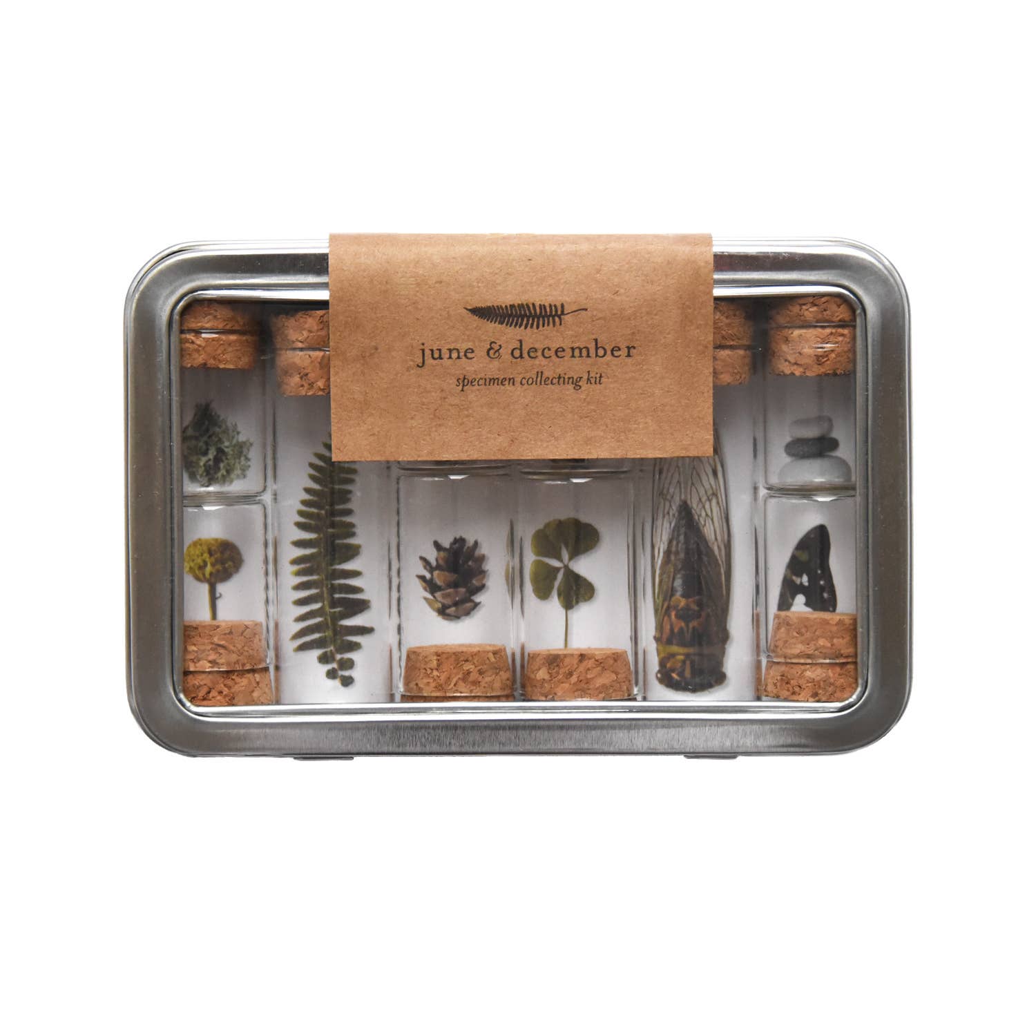 Sequonom Collection Kit Specimen Collecting Kit – Forgotten Room Shop