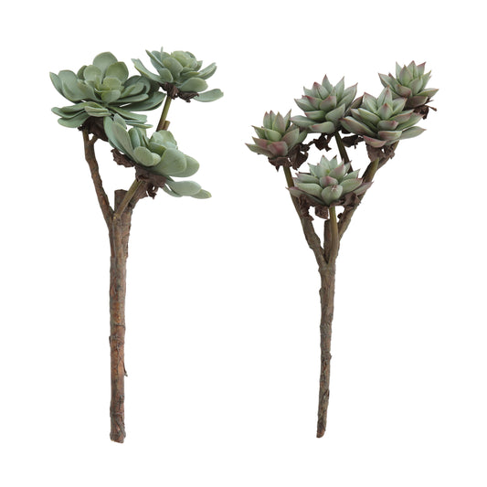 Faux Succulent Long stem