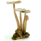 Four (4) Parasite Wood Flat Mushrooms