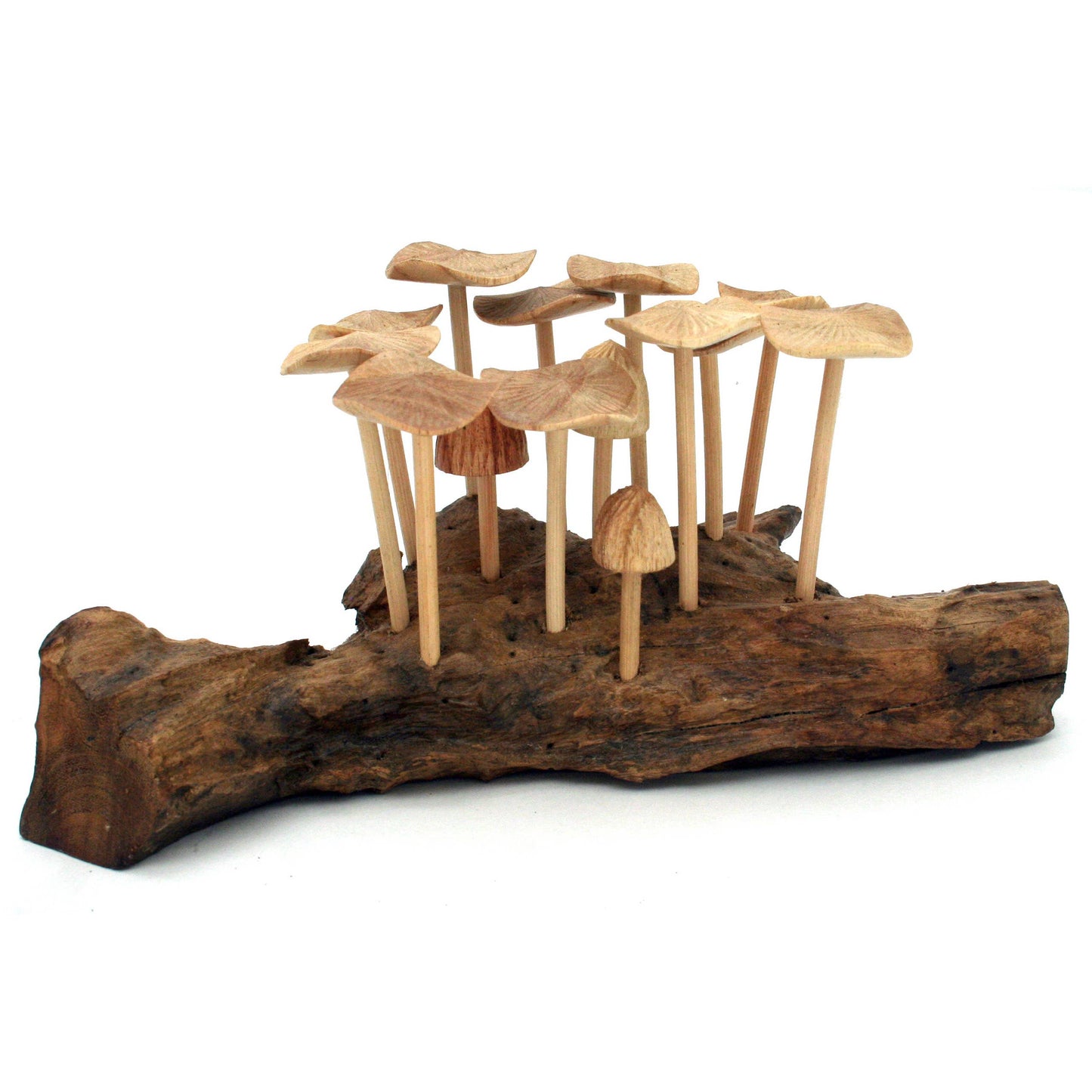 Twelve (12) Wood Mushrooms Driftwood